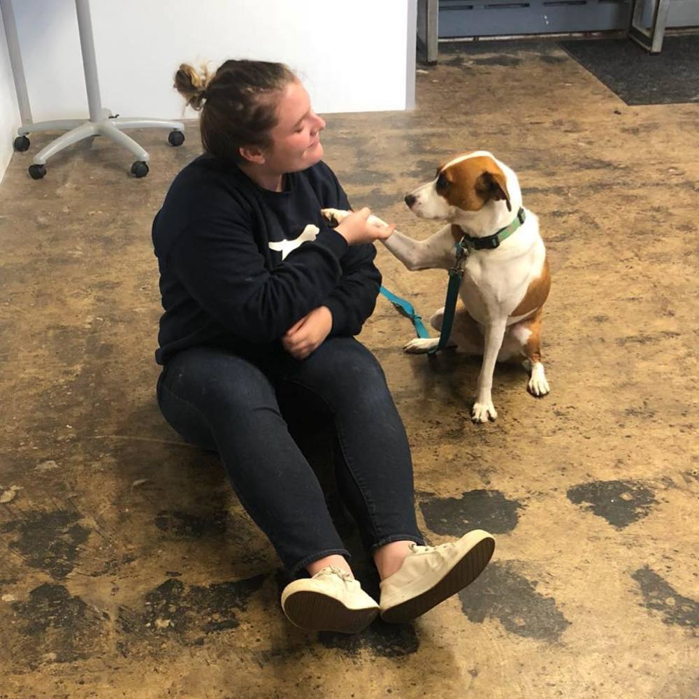 Meet your Posher, Hannah